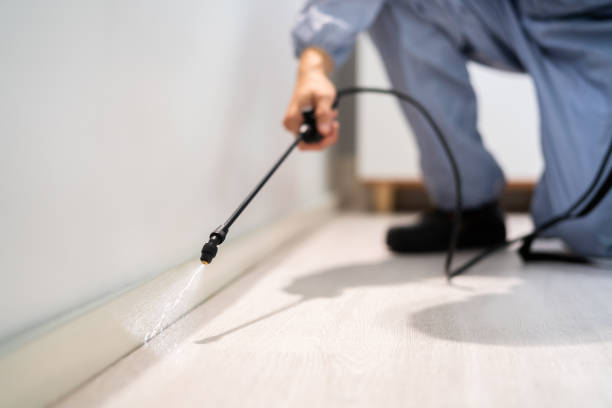 Licensed Termite Control service in Laupahoehoe, HI - Nex Pest Control