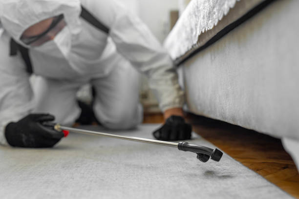 Professional Termite Control technician working in Laupahoehoe, HI