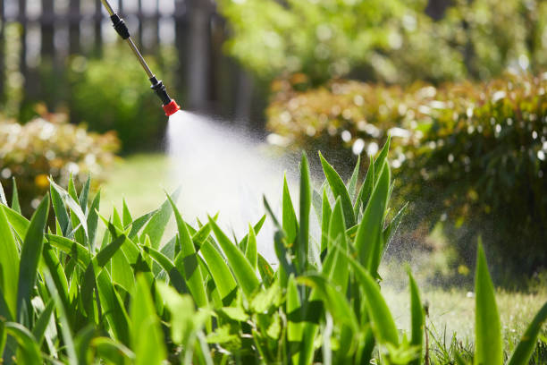 24/7 Emergency Termite Control experts in Laupahoehoe, HI