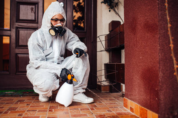 Reliable Termite Control contractor in Laupahoehoe, HI by Nex Pest Control