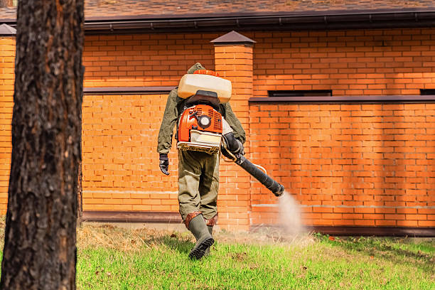 Trusted Bed Bug Control service in Laupahoehoe, HI - Nex Pest Control